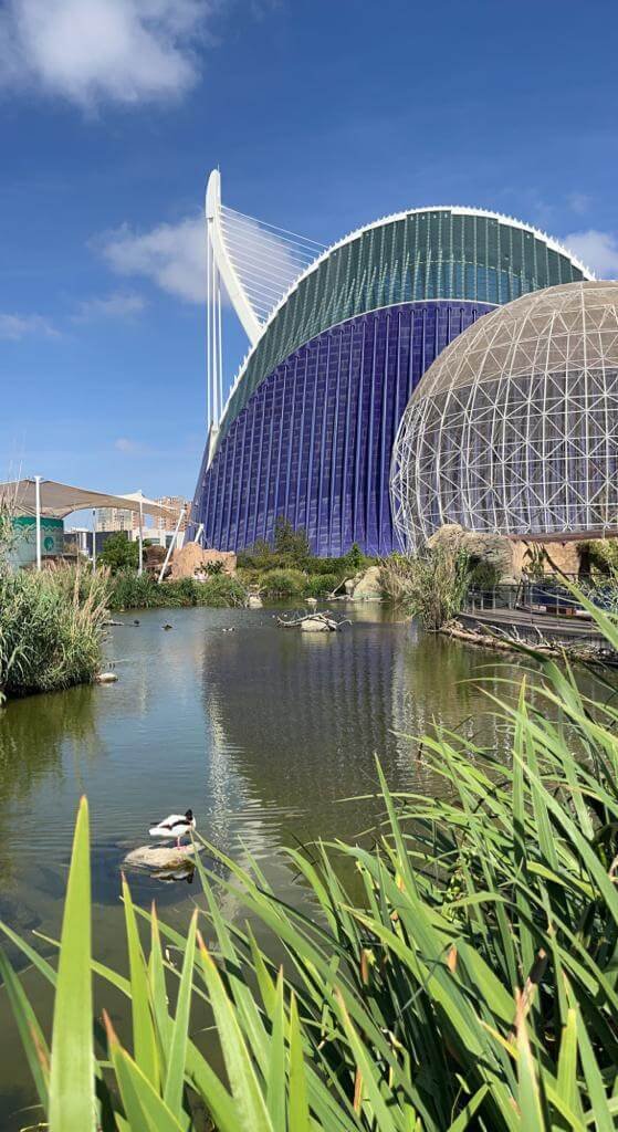 Dome and water area of the Oceanogràfic aquarium with modern structures and blue sky