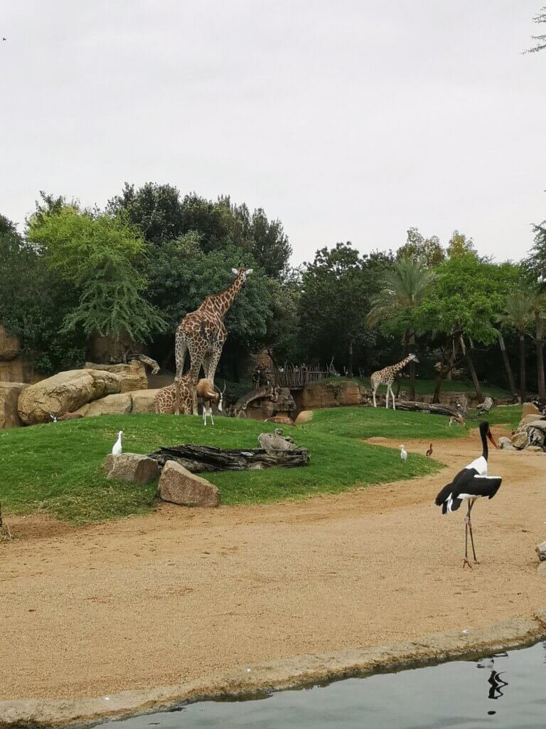 The zoo in Valencia, Spain