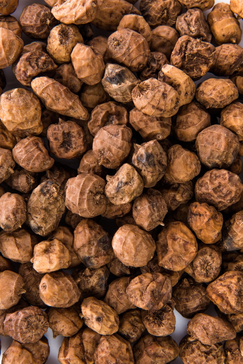 Horchata is made with chufa, these tigernuts