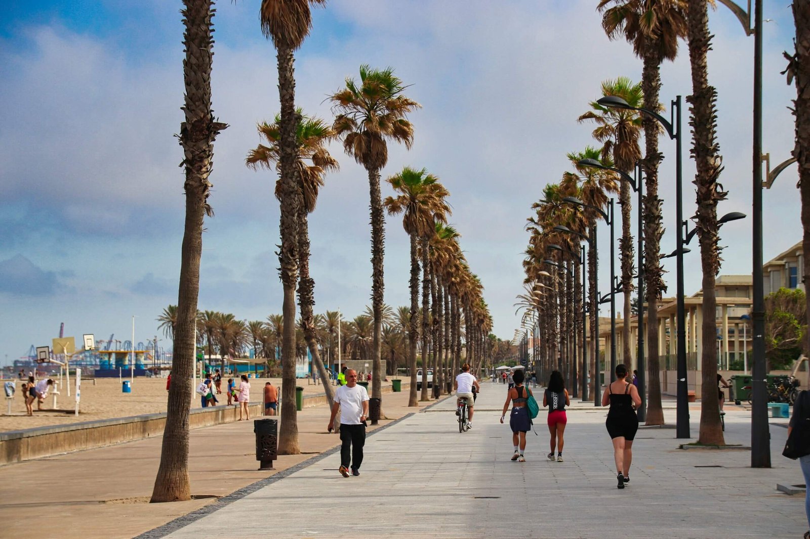 La Malva Rosa Boardwalk